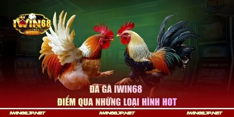 Điểm qua những loại hình hot