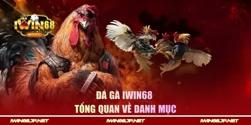 Tổng quan về mục đá gà của IWIN68
