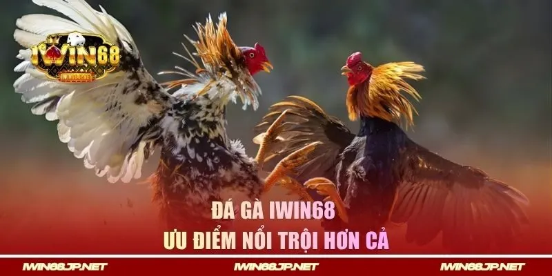 Ưu điểm nổi trội hơn cả