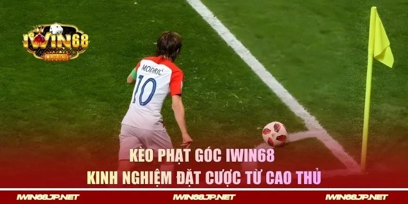 Kinh nghiệm đặt cược từ cao thủ IWIN68