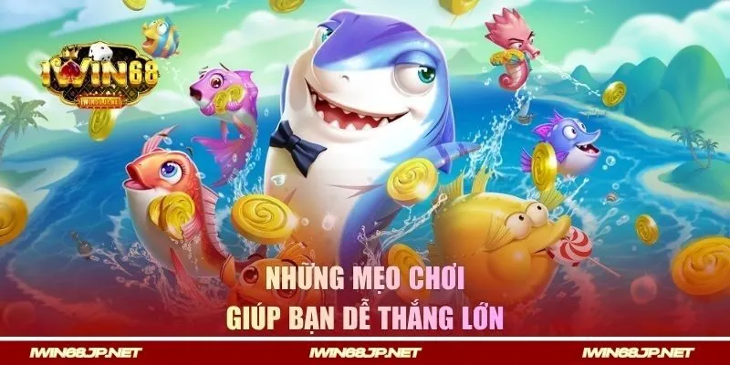 Chia sẻ những mẹo săn cá giúp bạn dễ thắng lớn