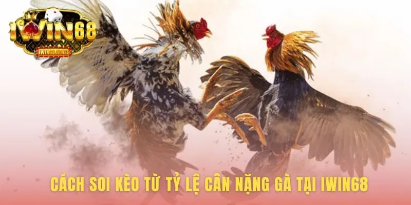 Soi kèo ứng dụng tỷ lệ cân nặng gà trên giao diện Iwin68