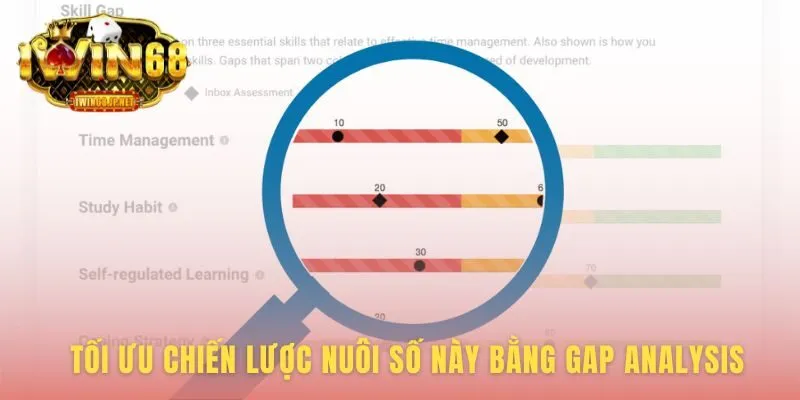 Tối ưu Gap Analysis giúp hiểu lợi ích và các cạm bẫy cần tránh